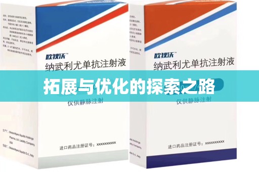 江门拓展与优化的探索之路
